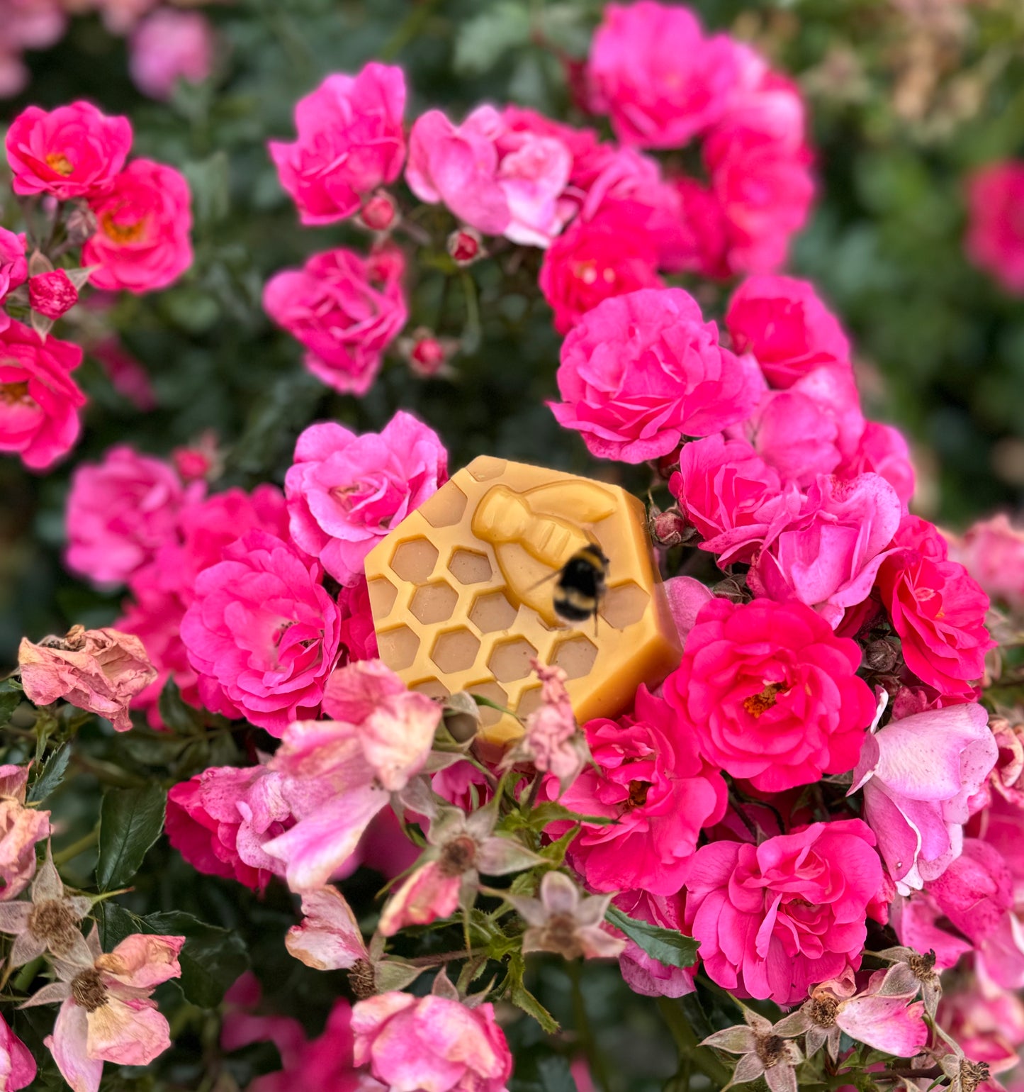 Vanilla Beeswax Melt