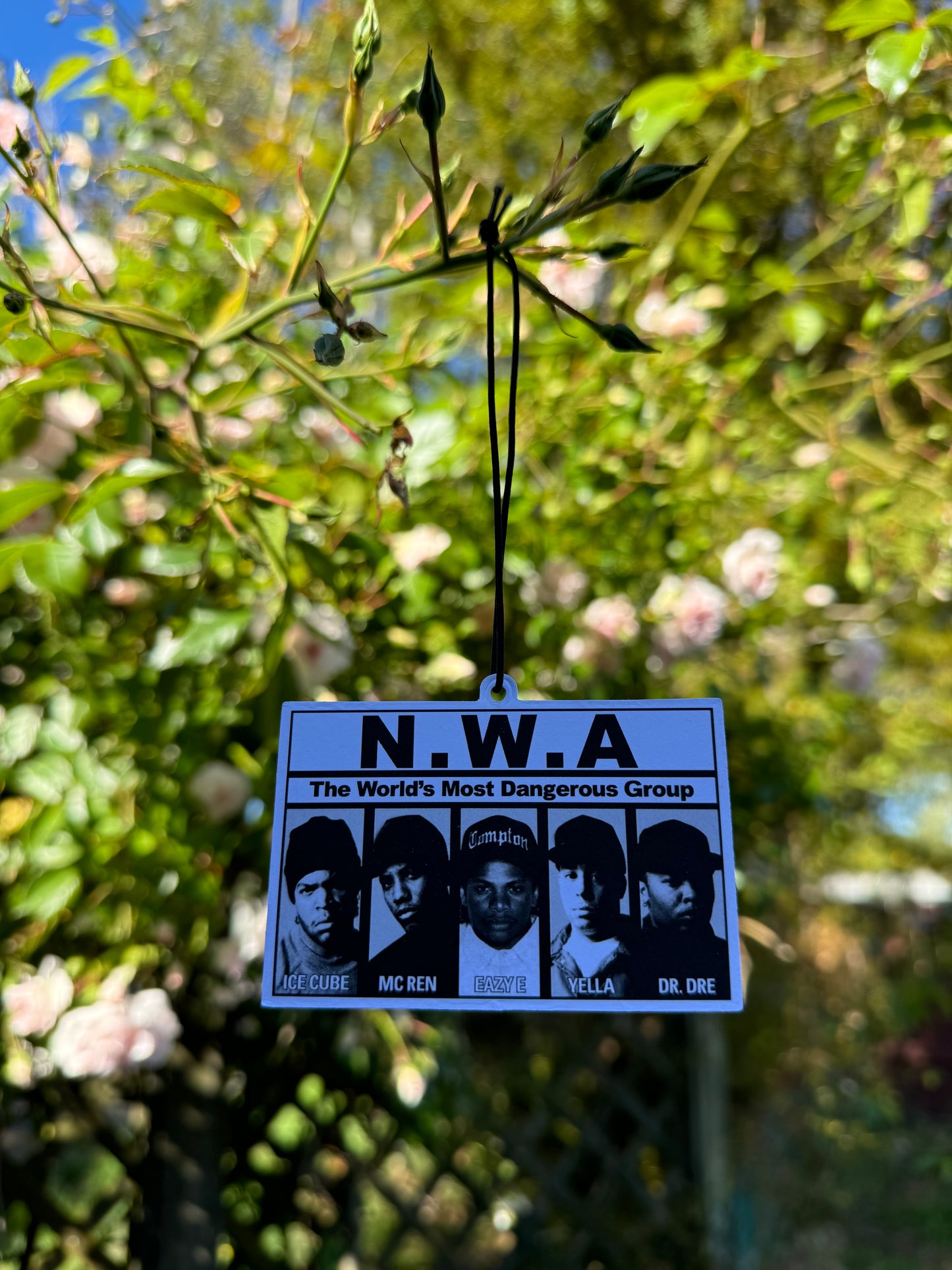 NWA Air Freshener