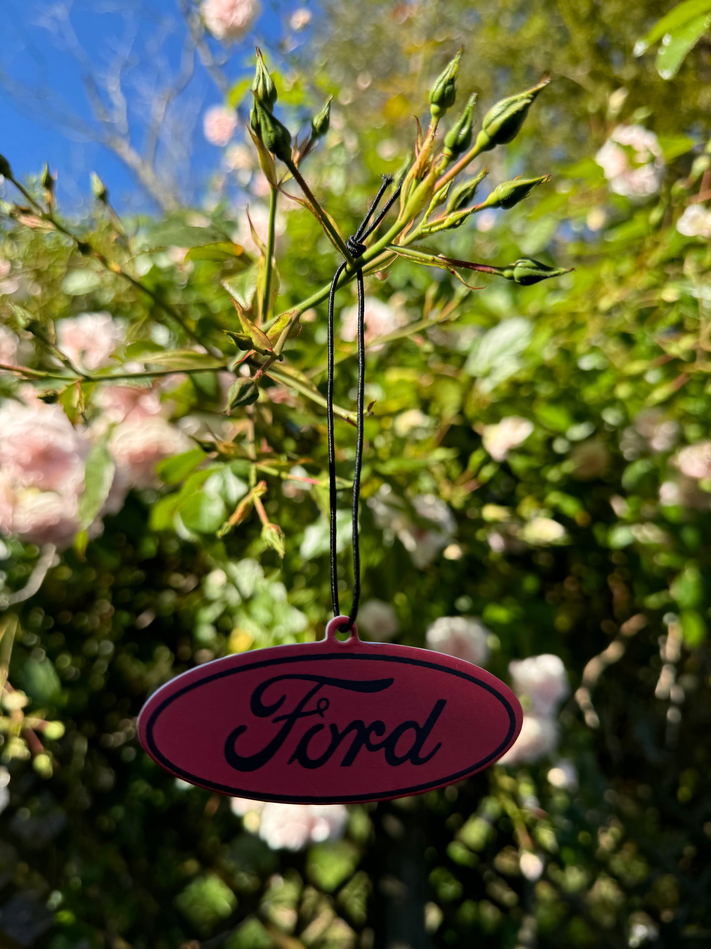 Ford Air Freshener
