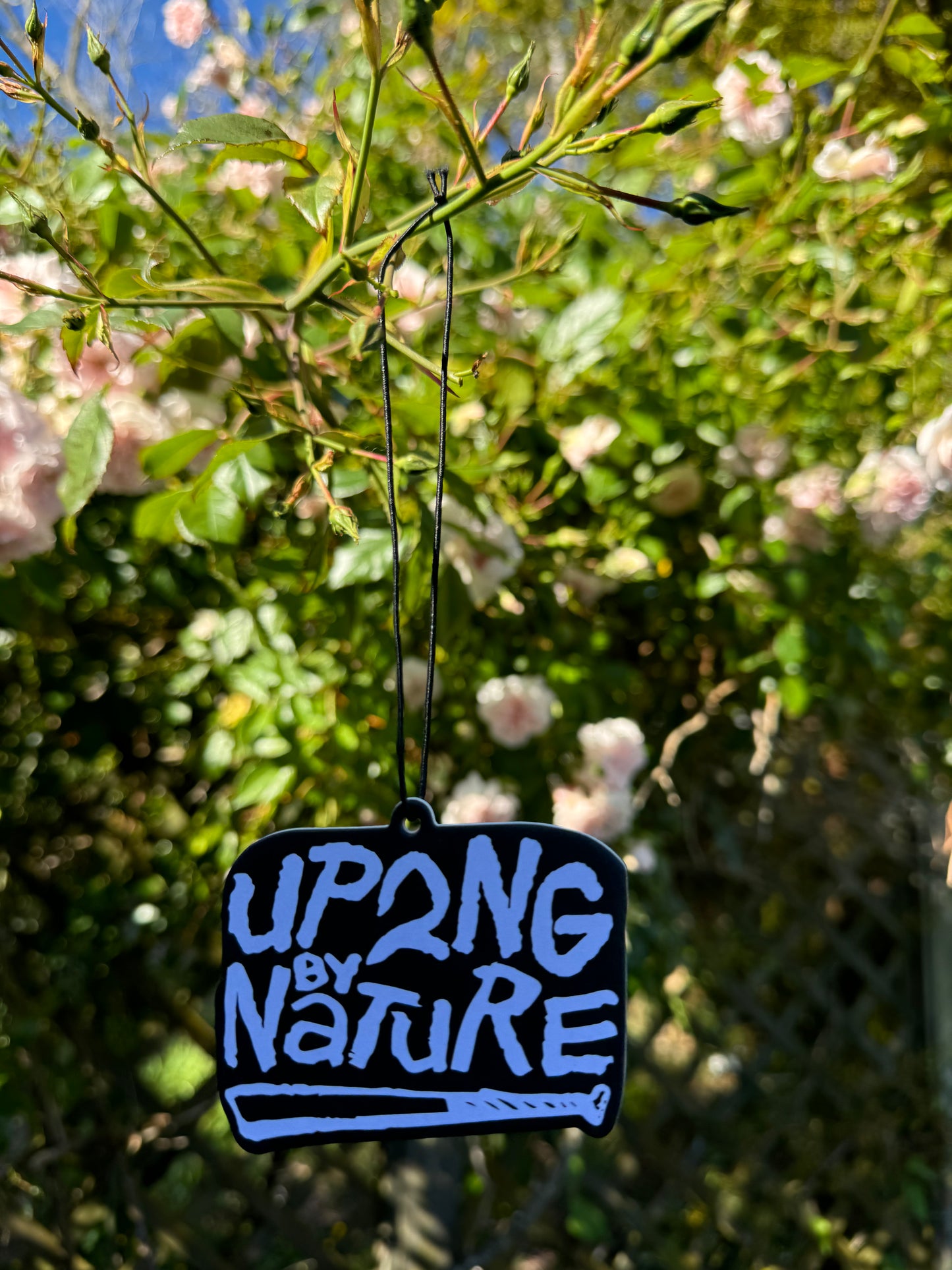 Up 2 No Good Air Freshener