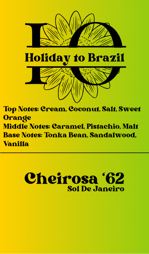 Holiday to Brazil